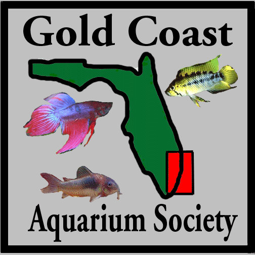 Gold Coast Aquarium Society of South Florida